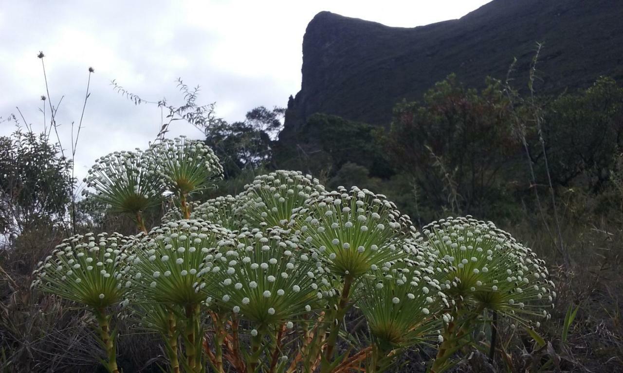 Do Alto Da Montanha Pousada Vale do Capao Eksteriør billede